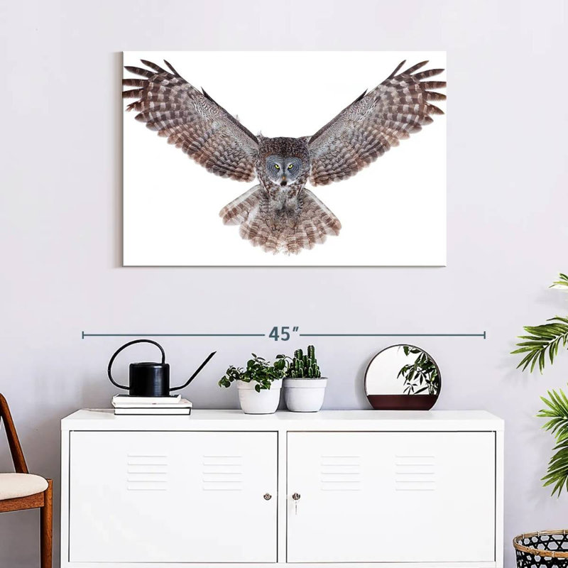 Owl Power, 24" H x 36" W