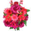 14 tiges de rosier-87862586-87862591
