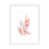White Paper n'est pas disponible