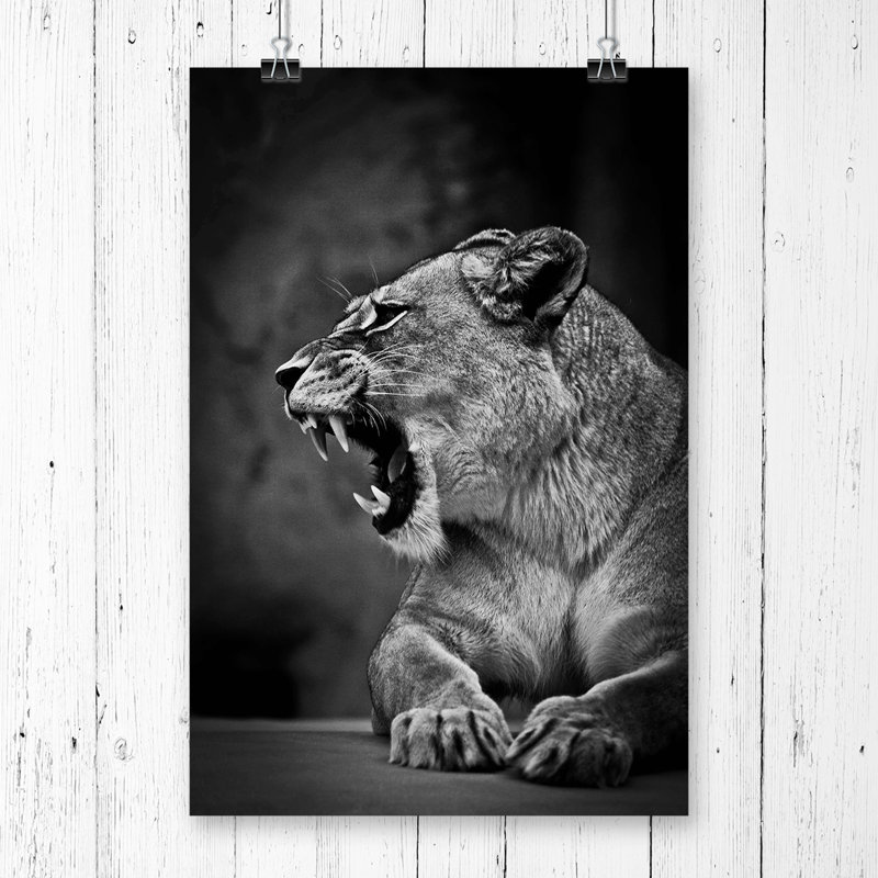 No Frame Print, 84.1cm H x 59.4cm W