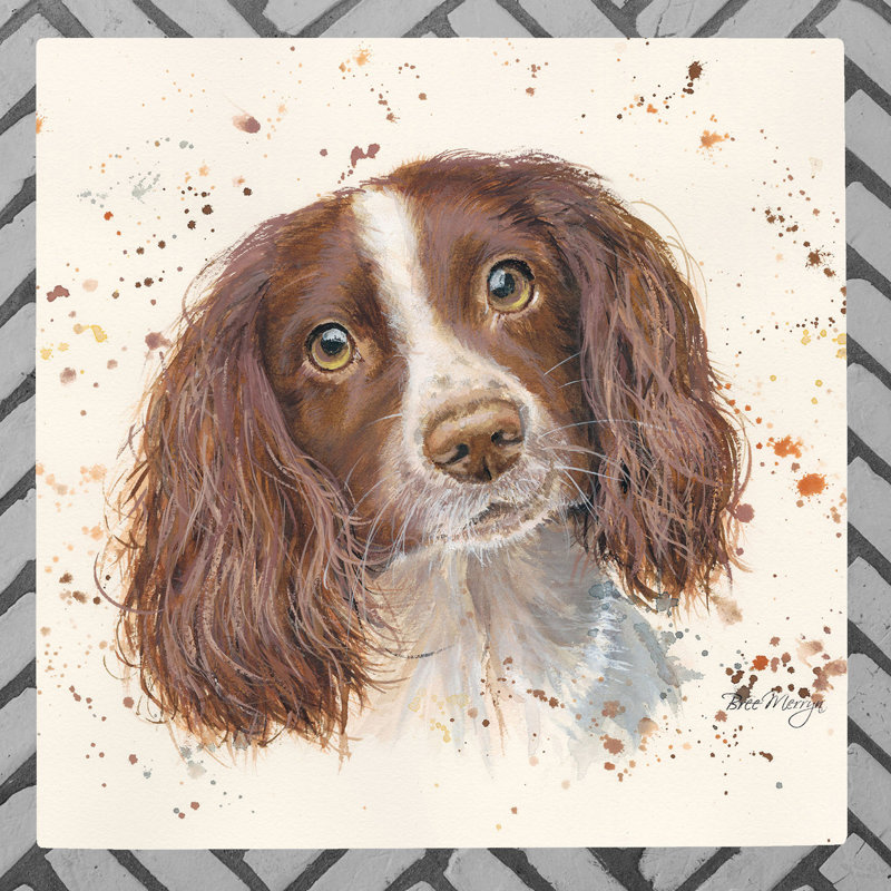 Springer Spaniel Artwork by Bree Merryn Ceramic Picture Tile Wall Decor