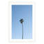Solo Palm by Amanda Anderson-159553944-159553942
