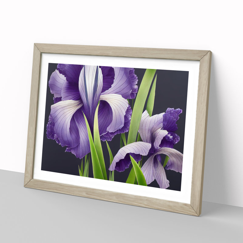 Engaging Iris Flowers - Single Picture Frame Print, 46cm H x 64cm W x 2cm D, Oak Framed