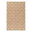 Moroccan Area Rug in Brown