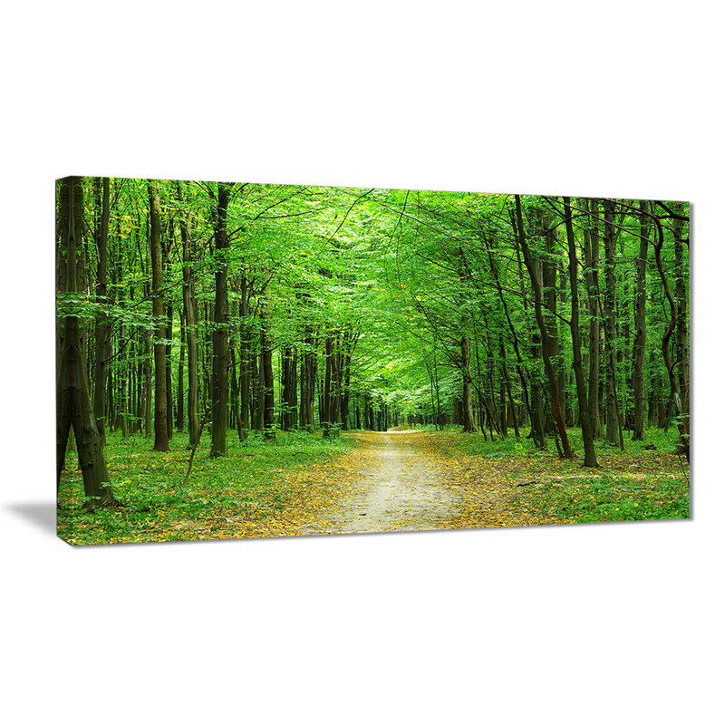 «Pathway in Green Forest», reproduction de photo sur toile tendue, H 16 po x l 32 po x p 1 po