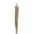 Elmhur 39.5 " Preserved in-1031606647