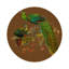 Napperon Family Pheasants-169865166