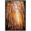 Automne automne «Orange Brown Autumn Forest Trees Landscape Images» sur-99142218-99142222