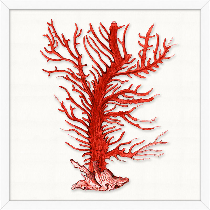 Red Branch Coral 8 Print by Lillian August
