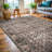 Jeeven Washable Oriental Indoor Rug-381892749