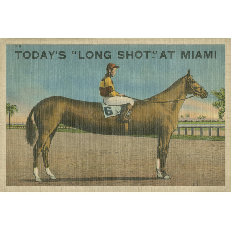 Long Shot - Wrapped Canvas Print, 81cm H x 122cm W