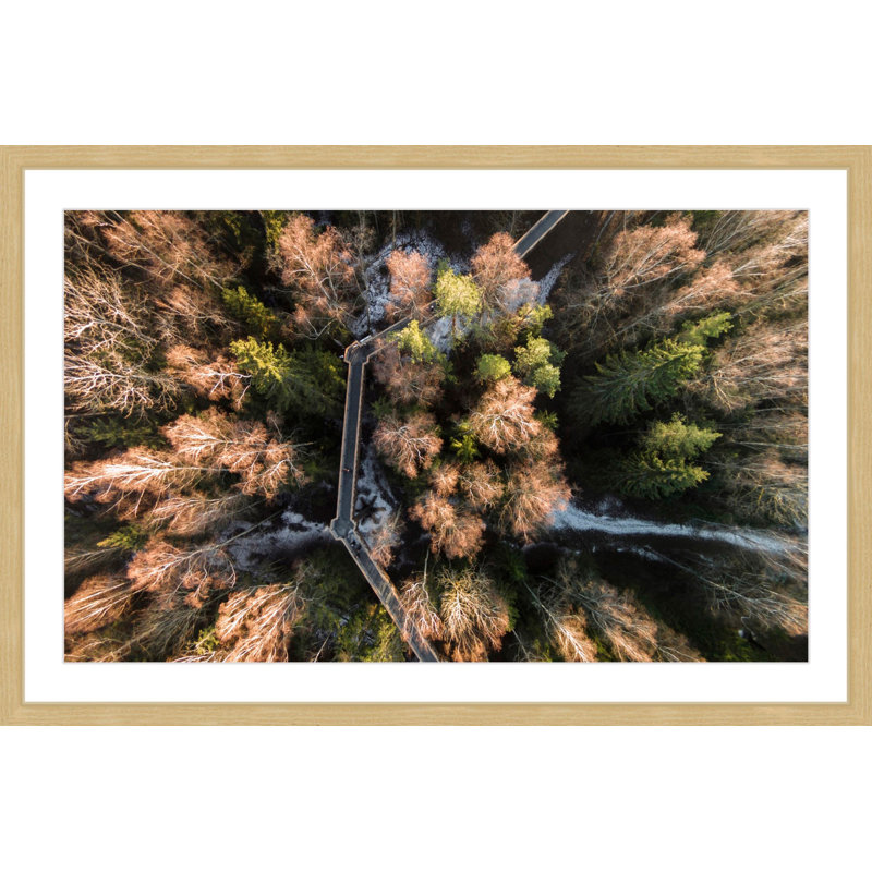 Karolis Janulis - Single Picture Frame Print, 41 cm H x 61 cm W x 3.81 cm D