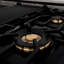 ZLINE autographe 48 po Legacy Dual Range en acier satiné avec détails noirs et bronze