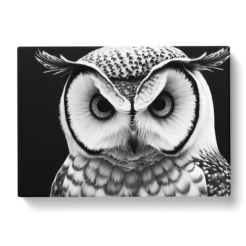 Owl Portrait Monochrome Vol.6 - Wrapped Canvas Photograph - Wrapped Canvas, 35cm H x 50cm W x 3cm D