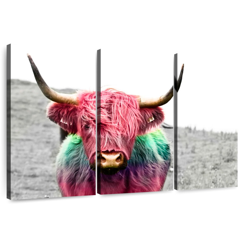 Vache Highland Brampt, H 42 po x l 65 po