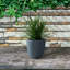Pot de fleurs en caoutchouc
