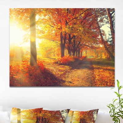 «Autumnal Trees, Sunrays», reproduction de photo sur toile tendue