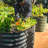 32" Tall 6 In 1 Modular Metal Outdoor Raised Garden Bed-100916623
