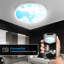 Ceiling light