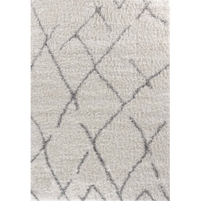 Tehama Geometric Shag Area Rug