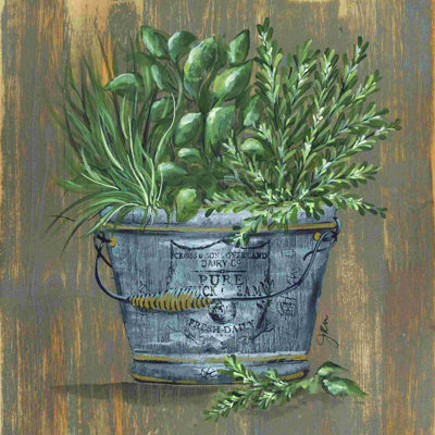 Trio d'herbes dans un seau