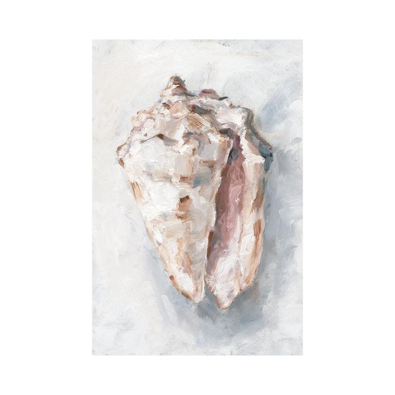 White Shell Study II by Ethan Harper - Wrapped Canvas Painting, 66.04 cm H x 45.72 cm W