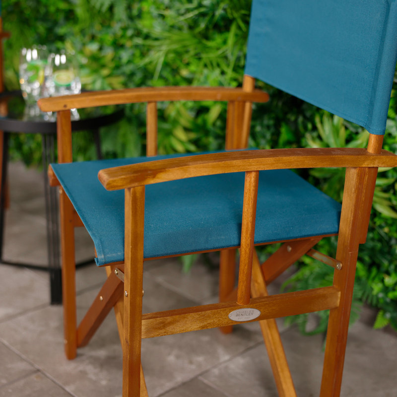 Antero Folding Director Chair
