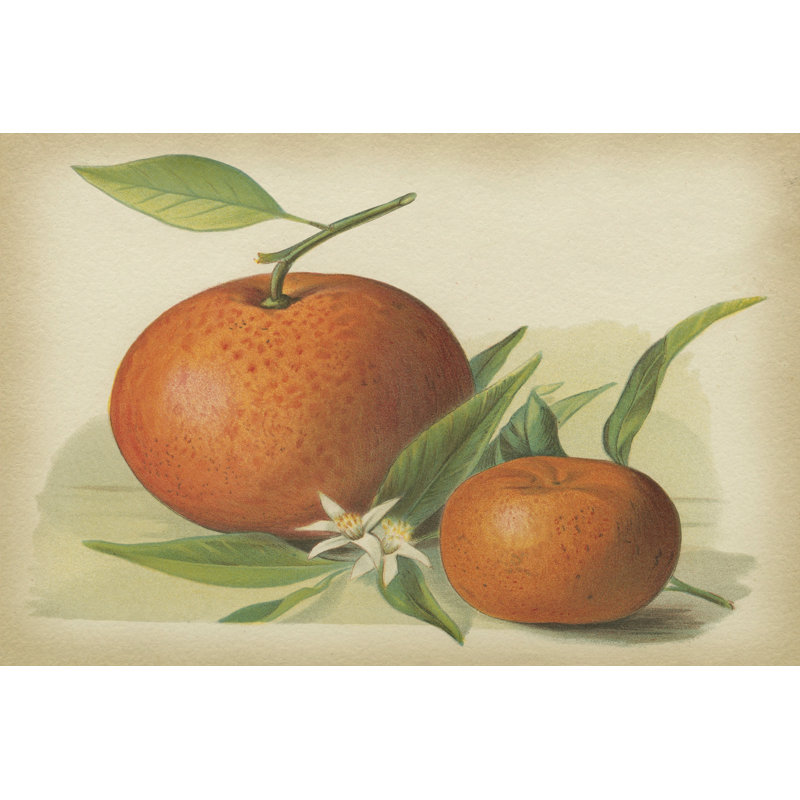Orange Study II - Wrapped Canvas Art Prints, 30cm H x 46cm W x 3.8cm D