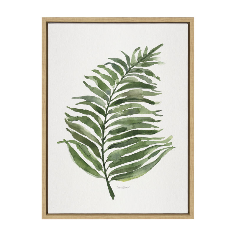 «Green Fern» par Patricia Shaw, reproduction d'art sur toile encadrée