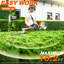 Outils de jardinage WOYao