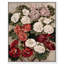 Fleurs de primevères sur toile -1723630815-1723630624-1726399976
