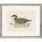 Canada Goose Silver Framed Print Wall Art
