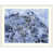 White Frame is unavailable