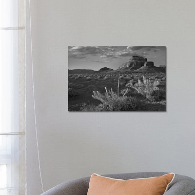 Miner's Candle flowers, Cathedral Wash, Vermilion Cliffs National Monument, Arizona 1 Piece Wall Art on Canvas