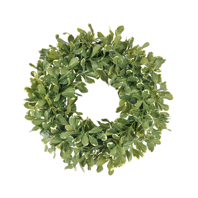 Pittosporum Spray Wreath