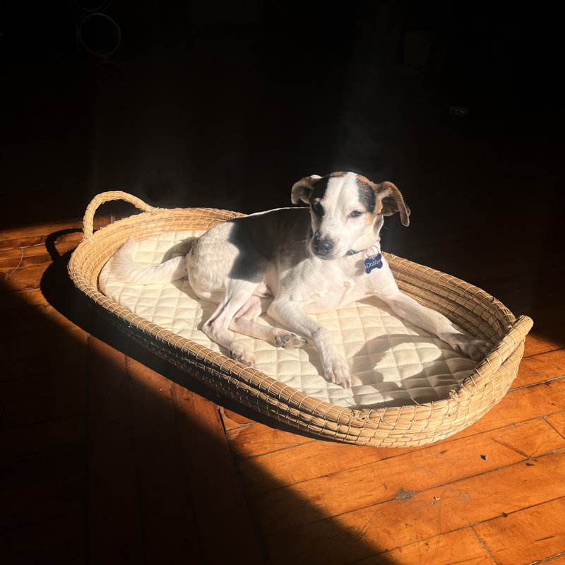 Rutledge & King Polyester Pet Bed, Gray
