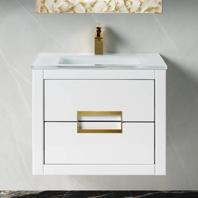 Danya 24'' W Single Vanity