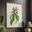 «Pretty Pink Botanicals», reproduction encadrée en bois massif
