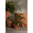 Elisabeth Handmade Ceramic Pot Planter-73058186