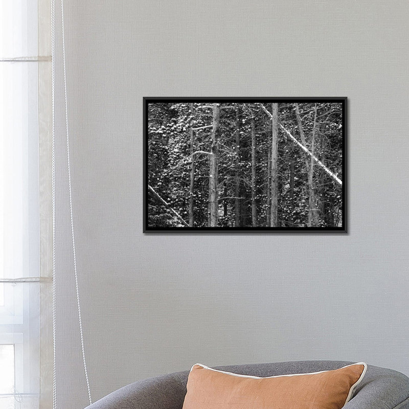 « conlines, b&w » par bill sherrell, impression sur toile tendue, H 18 po x l 26 po x P 1,5 po, Toile avec cadre noir