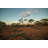 Beautiful Sunset In Australia by Swissmediavision - No Frame Print on Canvas-1607830022