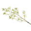 Silk Cherry Blossom Arrangement-30896110-31148605