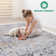 Naar Payas Area Rugs, Ivory/Grey/Traditional Accent Power Loom Machine -Crafted Rug