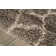 Linton Indoor Rug