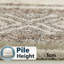 Oriental Machine Tufted Shag Area Rug-607071759