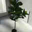 Photos des clients 2 de 4