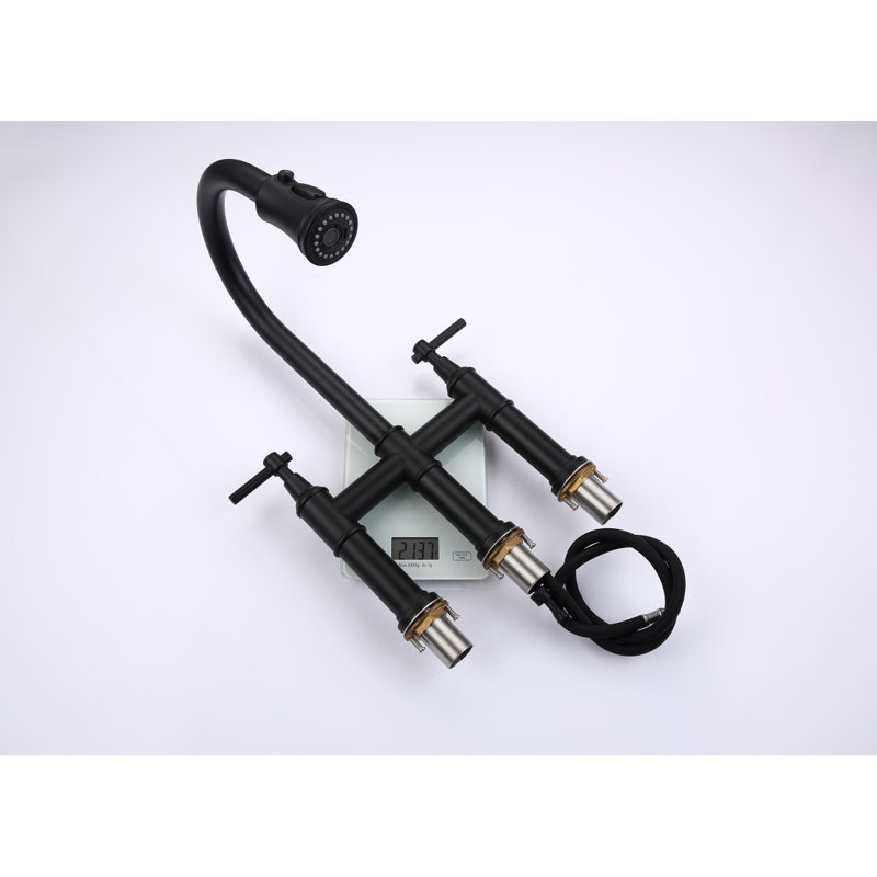 Bridge Kitchen Faucet With Pull-Down Sprayhead In Spot