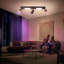 Shuntavia Spotlight-1064293458