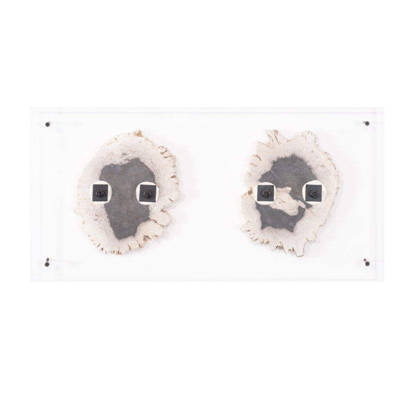 Floating Petrified Double Slice Wall Décor