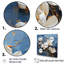 Magnolia bleu et blanc en fleurs-1530274707-1530274706